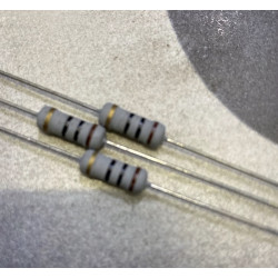 RESISTOR 10RX2W